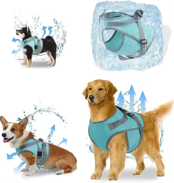 Cold Dog Thermal Harness