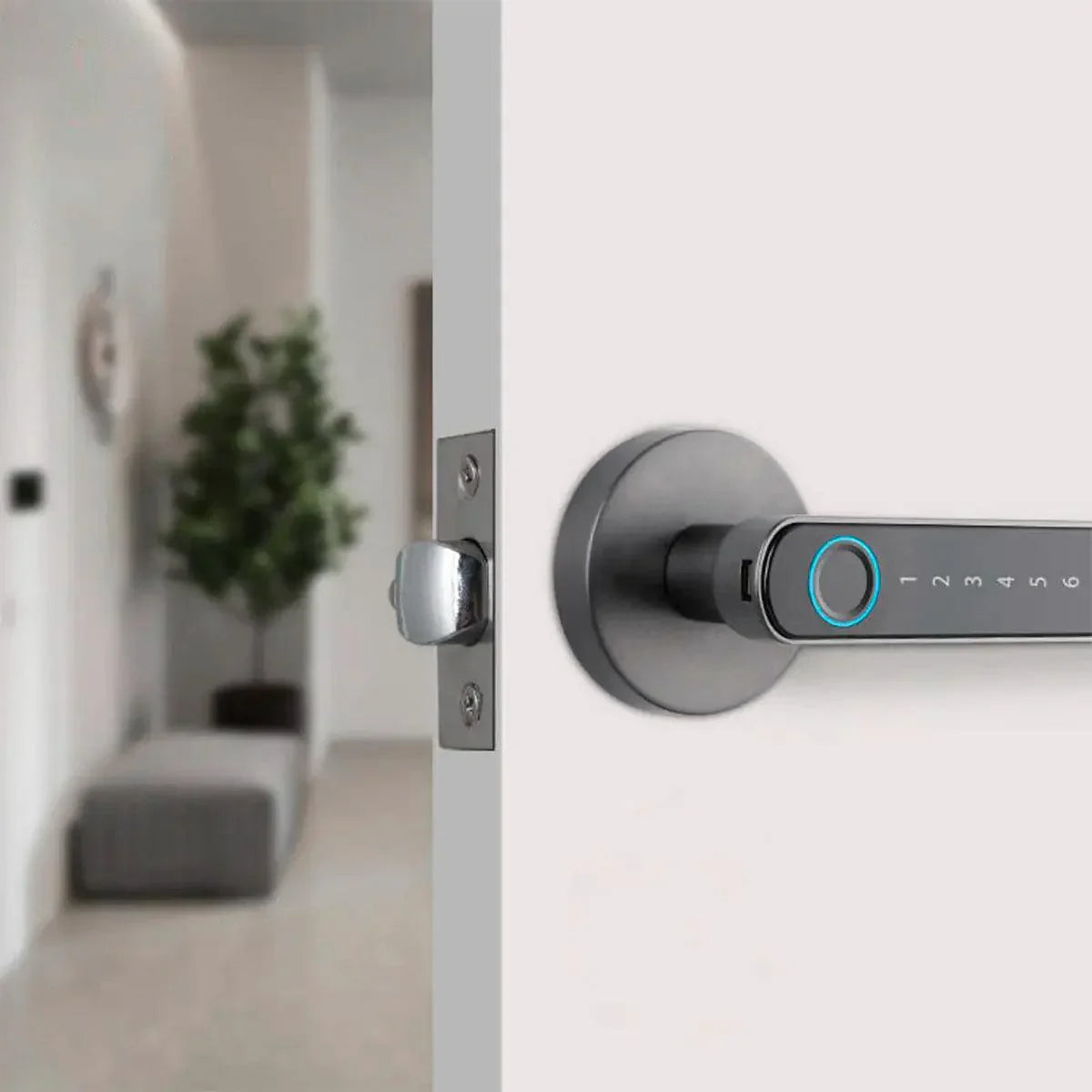 Digital Biometric Lock