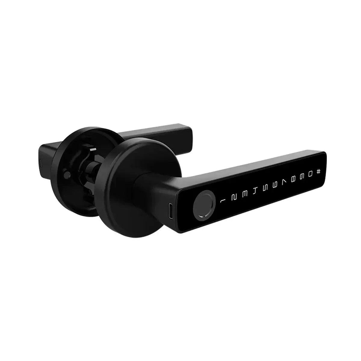 Digital Biometric Lock