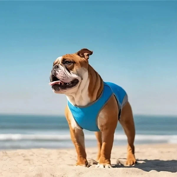 Cold Dog Thermal Harness