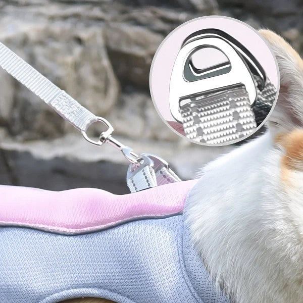 Cold Dog Thermal Harness