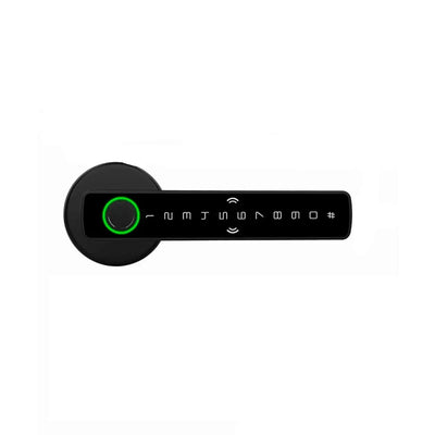 Digital Biometric Lock