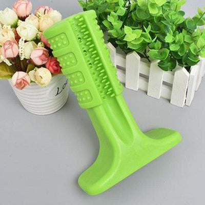 Dental Chew & Toothbrush for Dogs