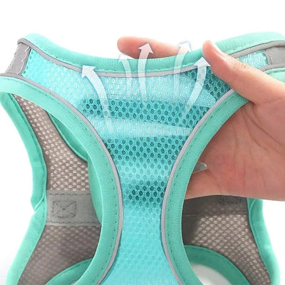 Cold Dog Thermal Harness