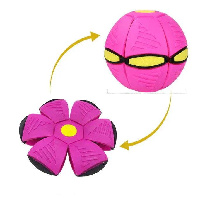 2-in-1 Flying Dog Toy