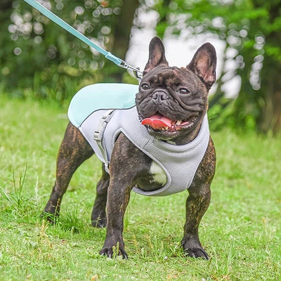 Cold Dog Thermal Harness