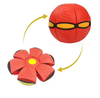 2-in-1 Flying Dog Toy
