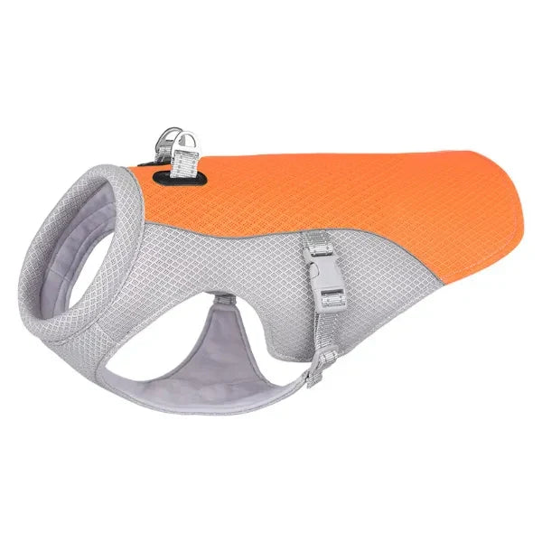 Cold Dog Thermal Harness