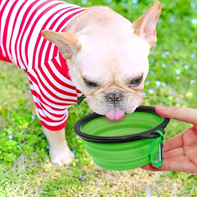 Collapsible Pet Travel Bowl - Portable Food & Water Feeder for Dogs & Cats