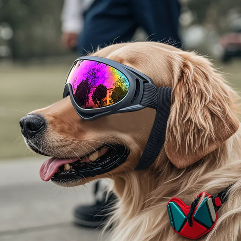 Dog Sunglasses - Adjustable UV Eye Protection for Dogs