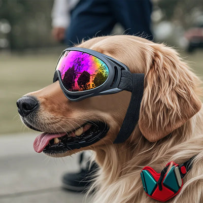 Dog Sunglasses - Adjustable UV Eye Protection for Dogs