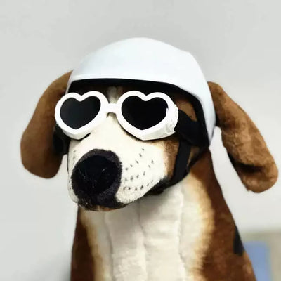 Mini Pet Helmet - Dog & Cat Motorcycle Helmet for Photos & Fun