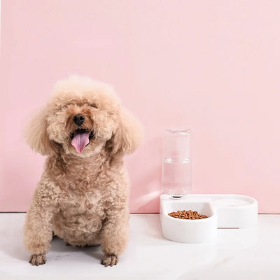 Double Pet Bowl - Food & Water Feeder for Cats and Small Dogs
