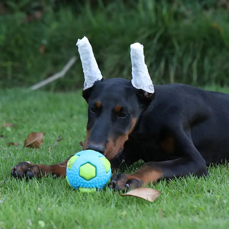 Interactive Flashing Pet Toy Ball - Durable Chew Toy for Dogs