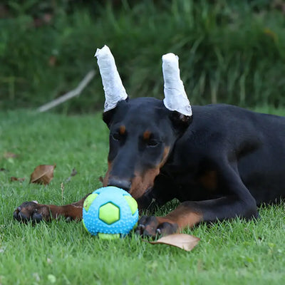 Interactive Flashing Pet Toy Ball - Durable Chew Toy for Dogs