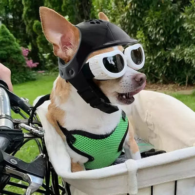 Mini Pet Helmet - Dog & Cat Motorcycle Helmet for Photos & Fun