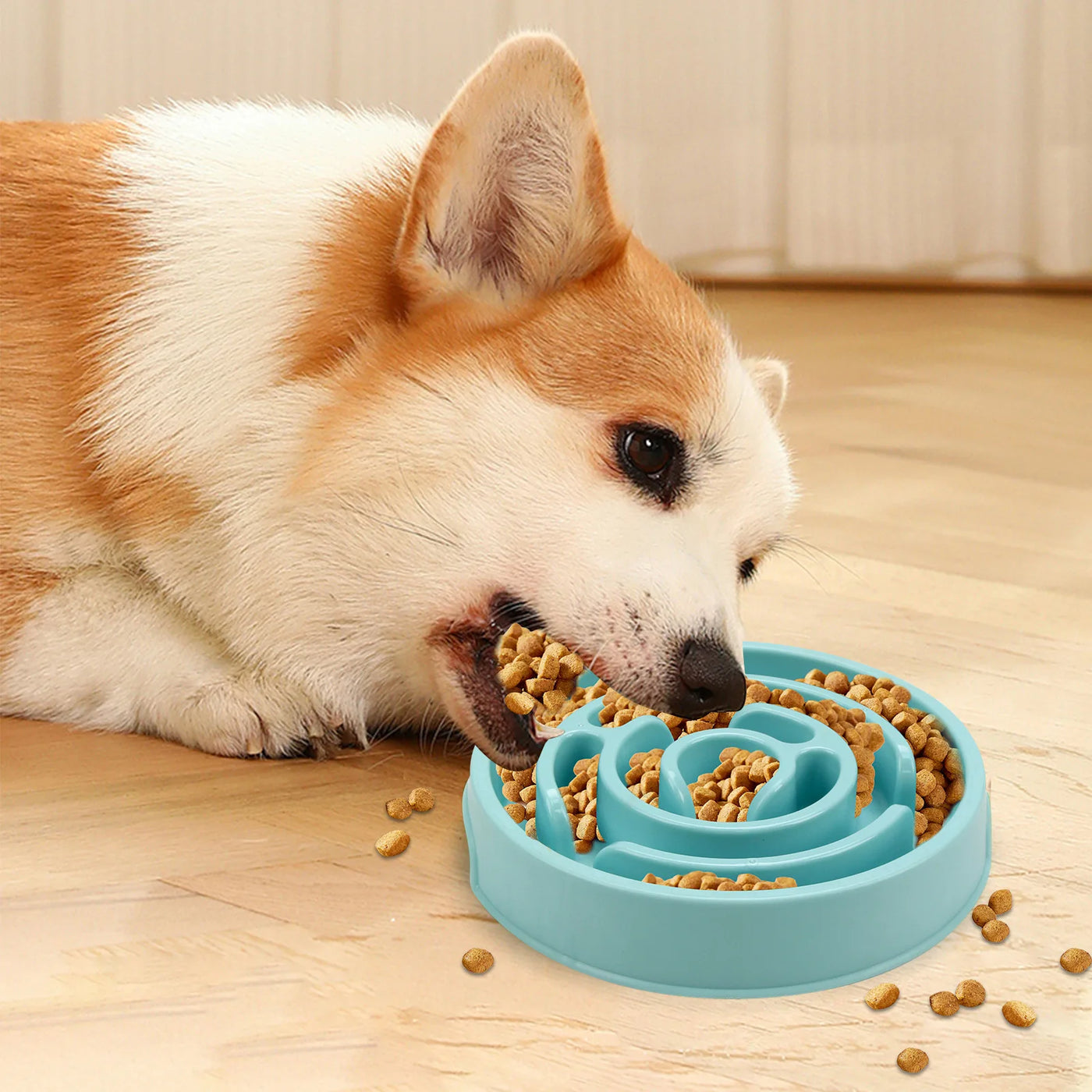 Slow Feeder Pet Bowl - Non-Slip Dish for Healthy Eating
