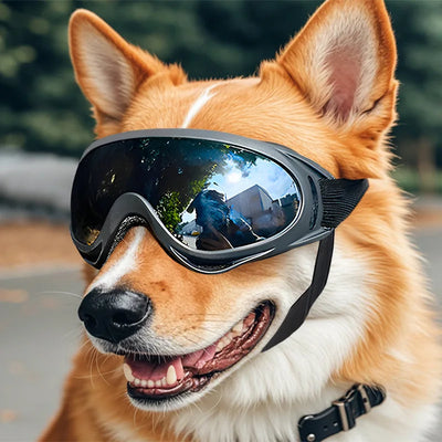 Dog Sunglasses - Adjustable UV Eye Protection for Dogs