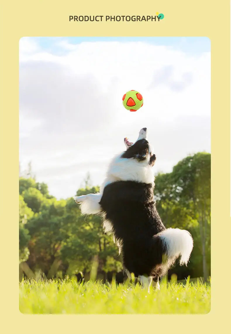 Interactive Flashing Pet Toy Ball - Durable Chew Toy for Dogs