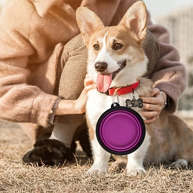 Collapsible Pet Travel Bowl - Portable Food & Water Feeder for Dogs & Cats