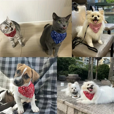 Adjustable Pet Puppy Cat Scarf Bandana Collar Neck Scarf For Small Dogs Kitten Saliva Towel with Triangular Bandage