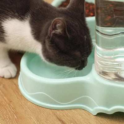 3.8L Automatic Pet Feeder & Waterer Set - Gravity Dispenser for Dogs & Cats