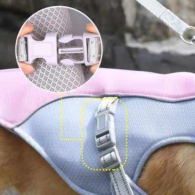 Cold Dog Thermal Harness