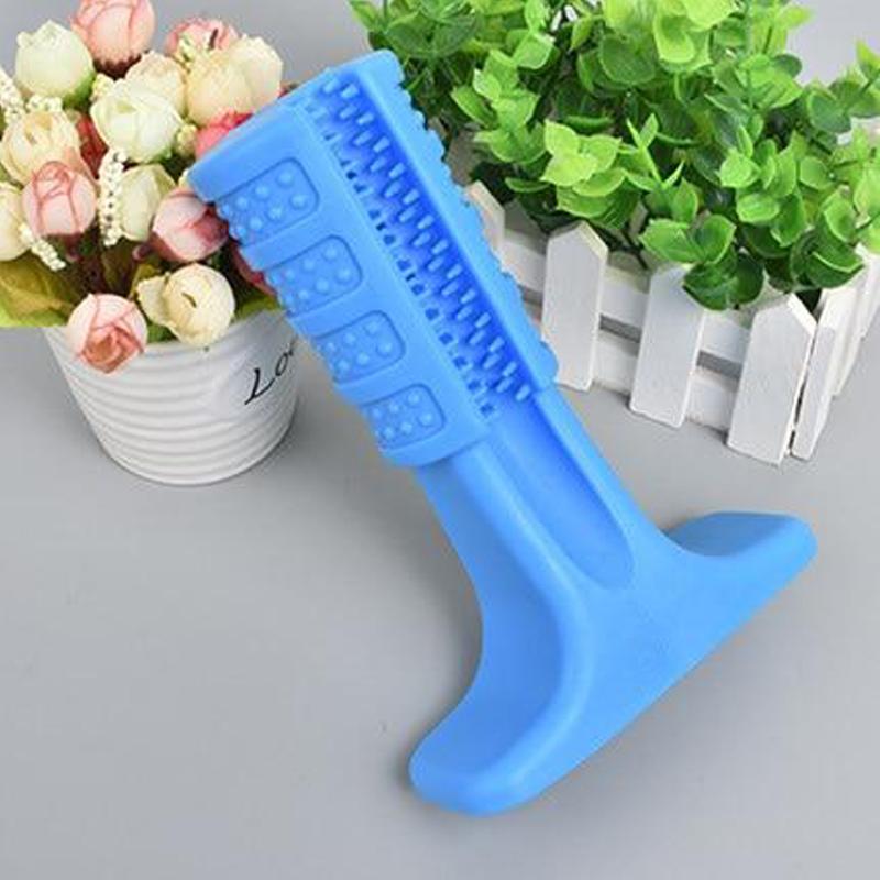 Dental Chew & Toothbrush for Dogs
