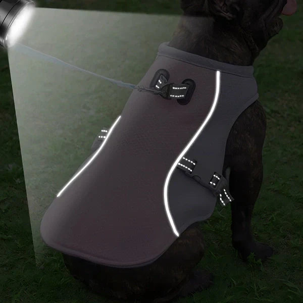 Cold Dog Thermal Harness