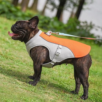 Cold Dog Thermal Harness